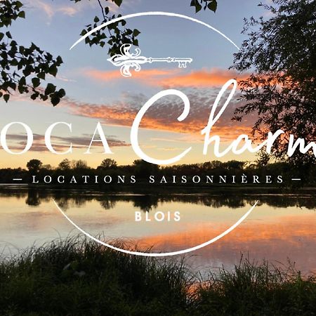 "Gite Le Relais Viennois" Vue Sur Loire & Linge Inclus Μπλουά Εξωτερικό φωτογραφία