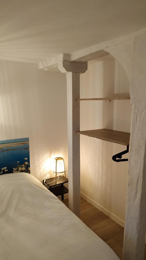 "Gite Le Relais Viennois" Vue Sur Loire & Linge Inclus Μπλουά Εξωτερικό φωτογραφία